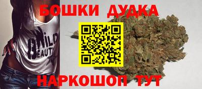 СК Кандалакша