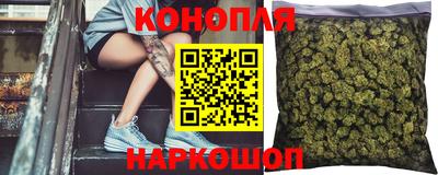 сатива Канаш